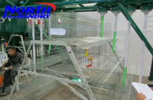Quality chicken layer automatic feeding cage/chicken layer house cage wholesale