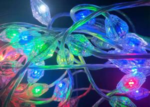 Quality Smart Programmable RGB LED Christmas Lights 0.028 Amps Used In Wedding Club wholesale