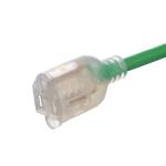 3X8/10/12/14/16AWG Rated Voltage 125V NEMA Female Light End ETL Certified