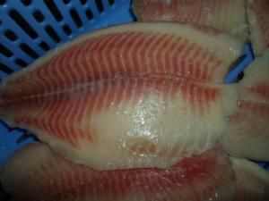Quality Thailand Origin Fresh Frozen Seafood / Bulk Frozen Fish Tilapia Fillet wholesale