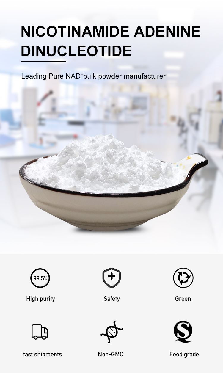 Professional 99% Purity NAD Nicotinamide Adenine Dinucleotide Powder CAS 53-84-9