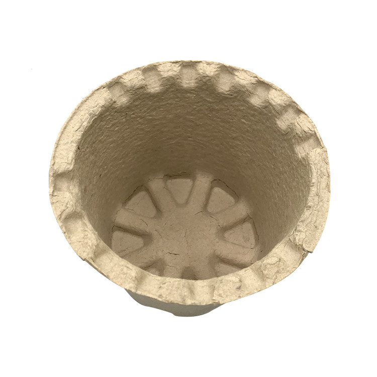 Sugarcane Bagasse Paper Molded Recycled Box Insert Trays Mold Pulp Packaging Biodegradable