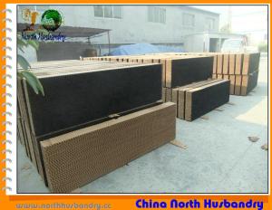 Quality Poultry Equipment Evaporative Cooling Pad wholesale