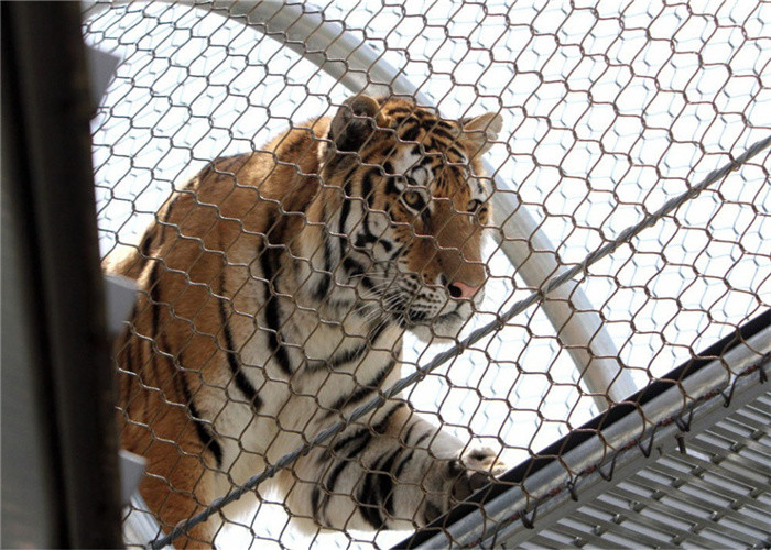 Soft Flexible 80x80mm Stainless Steel Rope Mesh At Animal Enclosure Zoo Fence Bird Aviary