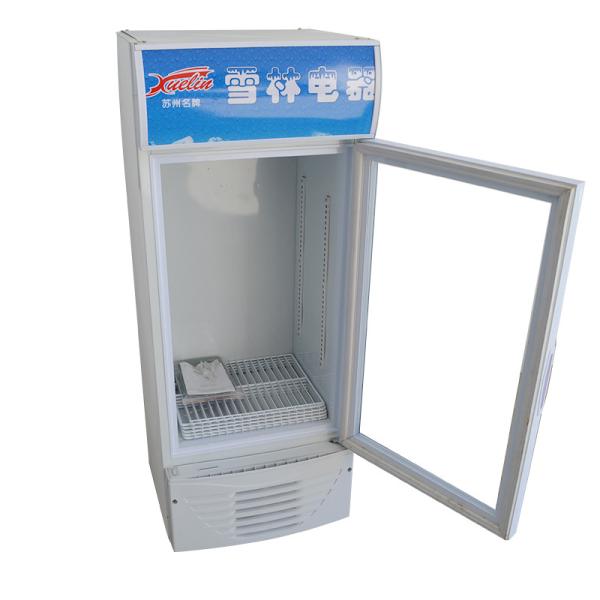 Environmental Protection Shop Display Freezer Movable Shelf Effective Volume 100