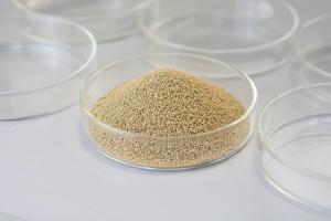 Quality Food Grade Immobilized Lipase Immobilized Enzyme Granule 4000U/G wholesale