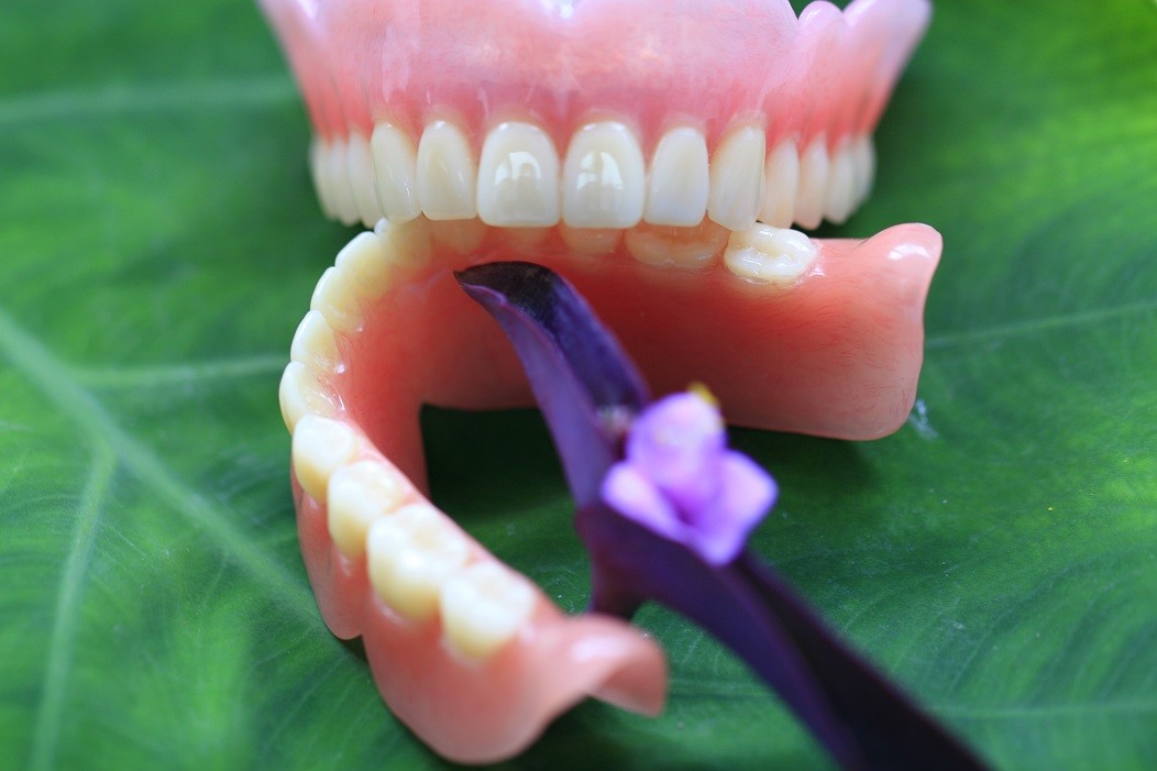 Complete Denture Permanent Esthetics Acrylic Partial Denture
