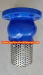 DIN PN16 GGG-50 Ductile Iron foot valve