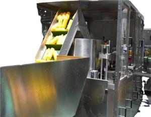 Quality Packing Machinery Plastic Round Bottle Unscrambler Sorter Machine for 300 KG Capacity wholesale