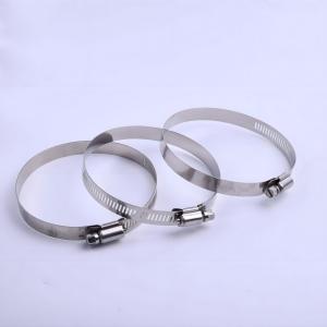 Quality Perforated Band Hose Clamp Clips Parts Stainless Steel 12mm wholesale