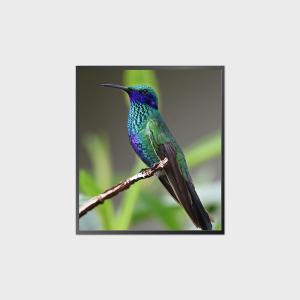 Quality 27.9 Inch Square LCD Screen 1920*2160 500nits 0-50℃ V-By-One LCD Module Display wholesale