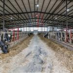 Corrosion Resistant Prefabricated Steel Shed Construction , Steel Farm Equipment