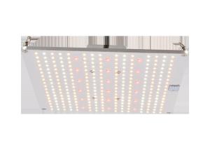 Quality ETL AC100V Quantum Board Led Grow Lights wholesale