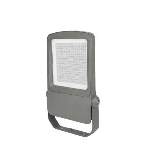 Quality Adjustable Bracket 270deg LED Flood Light 100 W Cornucopia Wall Warsher Linear wholesale