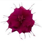 Add a Touch of Elegance to Your Event Party Supplies with Goose Feather Flower