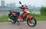 Powerful Engine 4 Stroke 125cc Street Legal Motorcycle 501W - 1000W