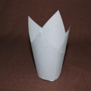 Quality Pure White Color baking tulip cup wholesale