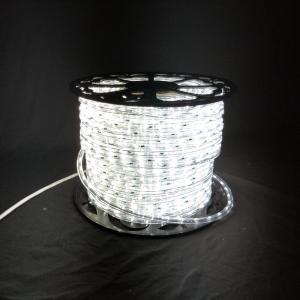 Quality WW Top quality 2 wire 110/220V LED rope light Christmas decorative lighting outdoor festive lighting supplier best price wholesale
