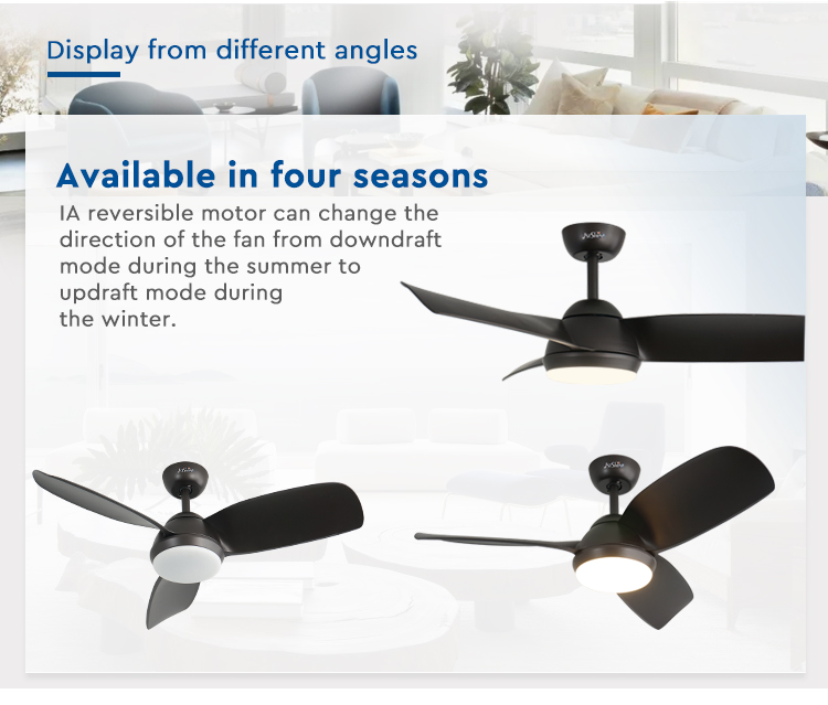 ceiling fan
