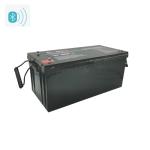 Lifepo4 Lithium Ion Bluetooth Rechargeable Battery 12V 300Ah 3000 Times Cycle