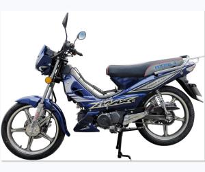 Quality Single cylinder hot sale 4 Stroke moped 110cc motorcycle wholesale