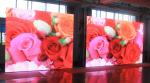 240V Indoor Rental LED Screen Custom LED Wall Screen Rental CE Certificate