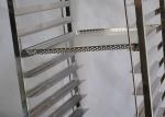 Stainless Steel Double 620MM Drying Carts With Trays
