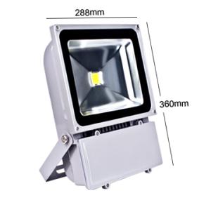 China COB 100W LED Flood Light on sale
