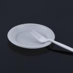 PLA Compostable Biodegradable Disposable Eco Friendly Plates