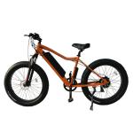 Multifunctional 48V 13Ah 500W Electric Fat Bike 750W Optional Beach Ebike Wide