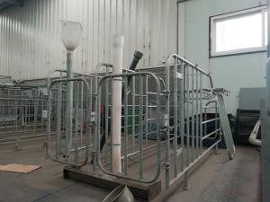 Quality Professional Pig Gestation Stalls , Swine Gestation Cages Alkali Reistance wholesale