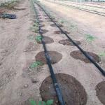 High Quality 16mm Polyethylene Tubing Drip Tapes Agricultural Irrigation System