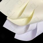 High Stiffness Offset Printing Paper In Roll 100% Wood Pulp Material
