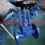 DIN3356 GG25 PN16 cast iron globe valve