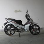 7500RPM CDI Ignition TR135-NF 135CC Cub Motorcycle