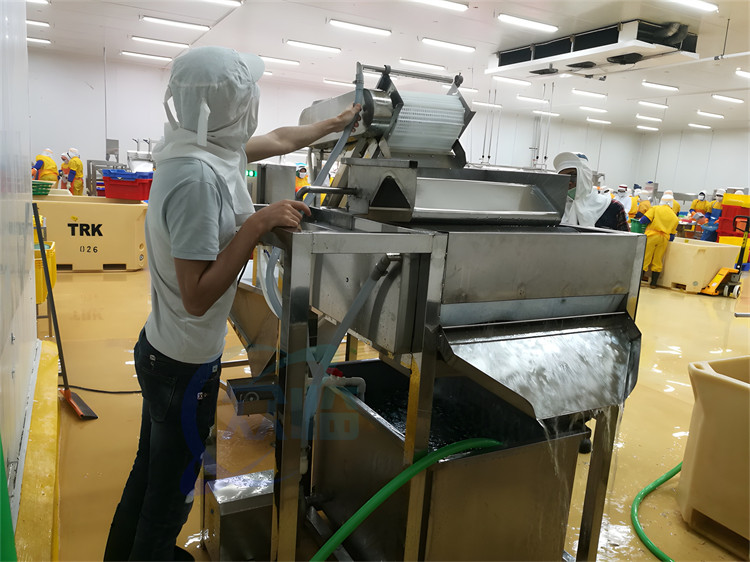 Automatic Shrimp Cleaning Machine 1.5KW Stable Large Capacity