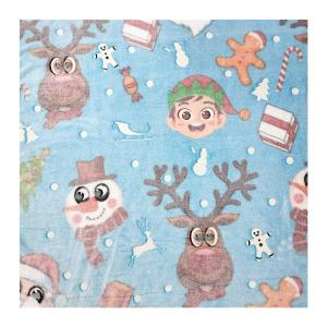 Quality 100% Polyester Flannel Fleece Fabric wholesale