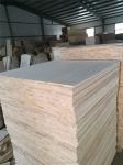 1220x2440mm Paulownia Wood Sheets for Contemporary Design Grade AA AB BC by