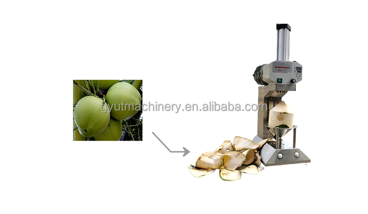 Restaurant Coconut Peeling Machine for Malaysia Market at Affordable
