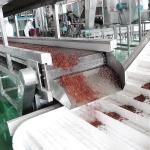 20TPD Sea Buckthorn Processing Fruit Juice Production Line