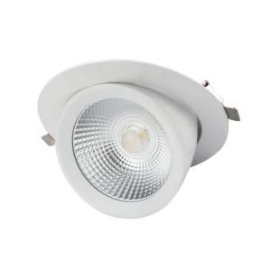 Quality Gimbal LED Scoop Downlight wholesale