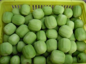 Quality Grade A IQF Frozen Fruit / Fresh Kiwi Various Shape Or Size Optional wholesale
