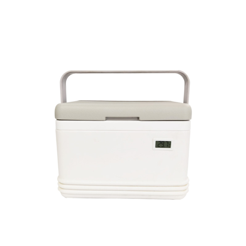 Medicine Coleman Cooler Box 8L Portable Ice Box Cooler For Fishing