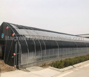 Single-Span Agricultural Greenhouses for Commercial Stable Structure Easily Assembled