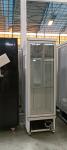 Supermarket Single Door Vertical Refrigerated Display Freezer