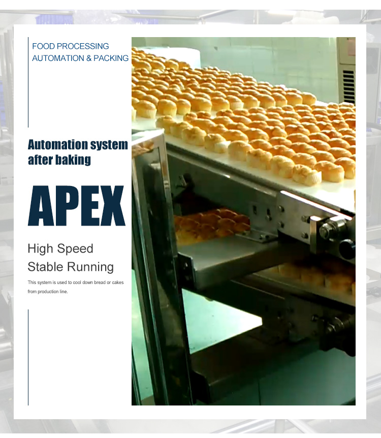 Stainless Steel Belt Conveyor System Automatic Food Grade Cooling Conveyor