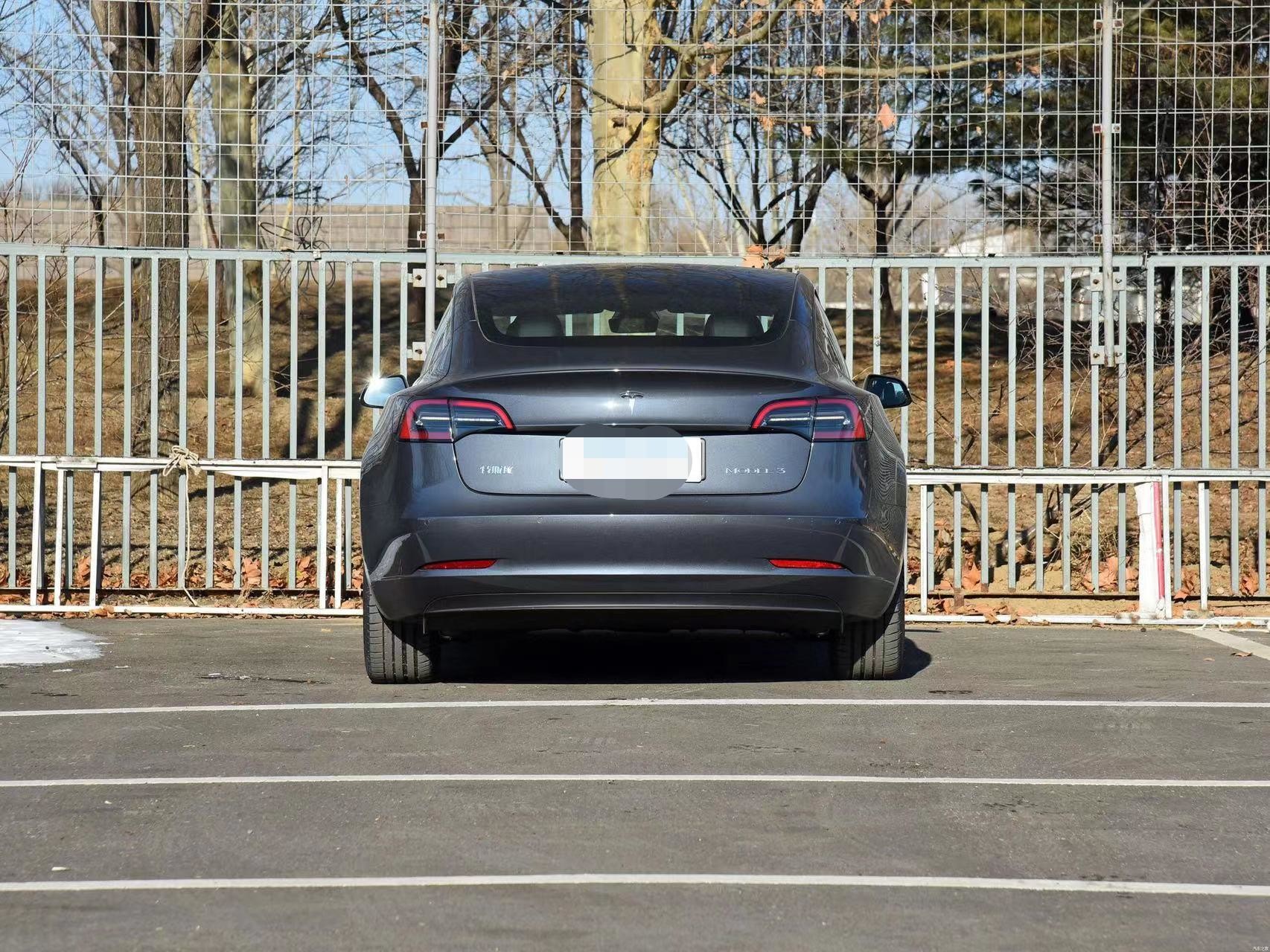 Tesla Model 3 2022 Performance 4WD Version Medium EV Car 194kw FIX Gear 675km