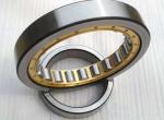 GCr15 Double Row SL014838 Cylindrical Roller Bearings