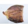 Buy cheap Sweet Squid Body Raw Material 45-55% Moisture For Fresh Grilled Squid from wholesalers