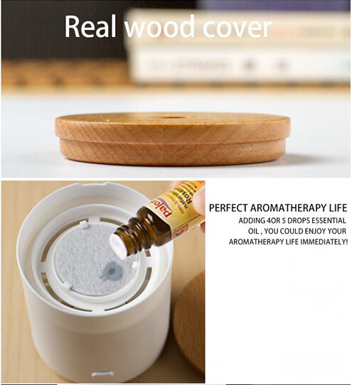 Mini Waterless Bamboo Fragrance Diffuser For Car